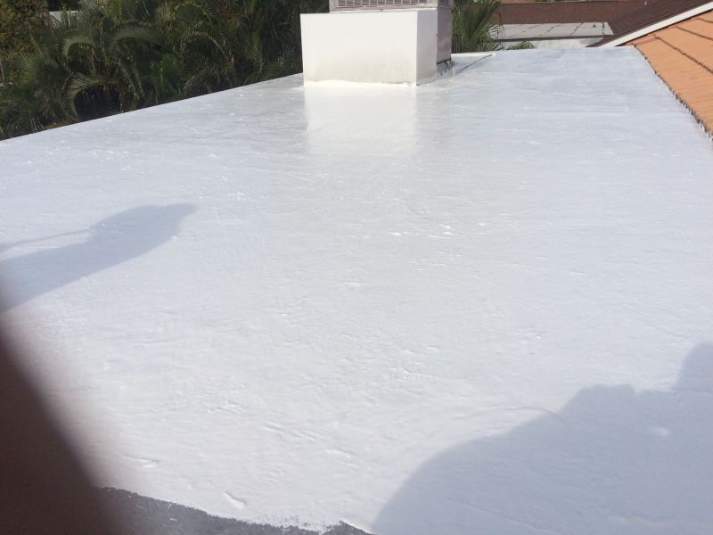 Roof Patching and Repair