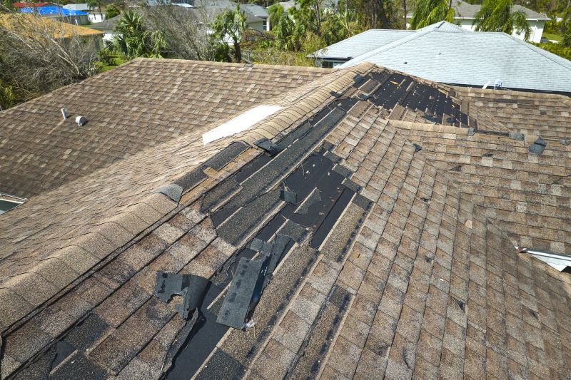 Inspecting Roof Damage