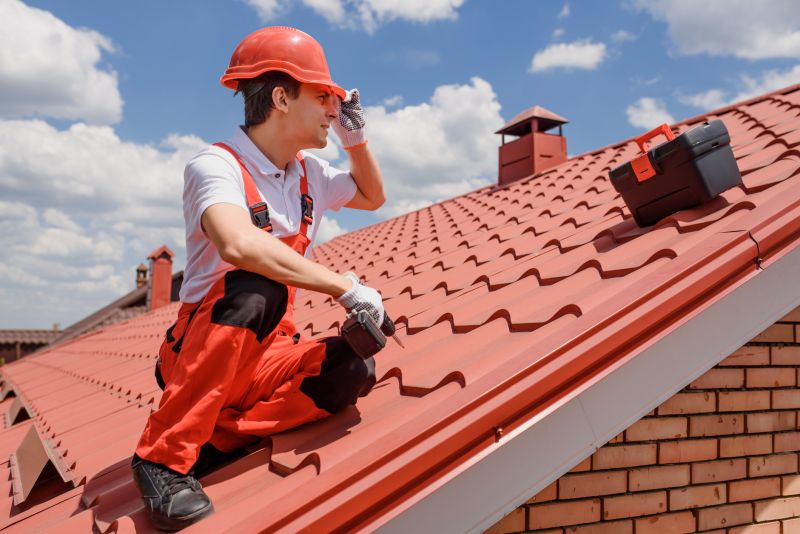 Roof Patching and Repair Services Overview