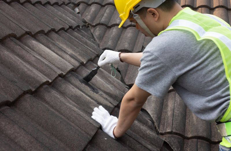 Roof Patching & Repair Contractors